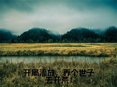 开局流放,养个世子去开荒!全集章节小说免费阅读完整版(沈宁)-沈宁小说免费阅读