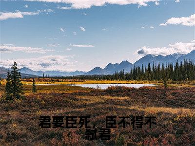 顾昔(君要臣死,臣不得不弑君)全文免费阅读无弹窗大结局_(顾昔免费阅读)君要臣死,臣不得不弑君无弹窗最新章节列表