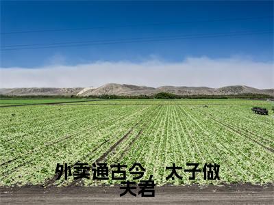 外卖通古今,太子做夫君是什么小说-陵轻舟江逸澈免费小说在线阅读