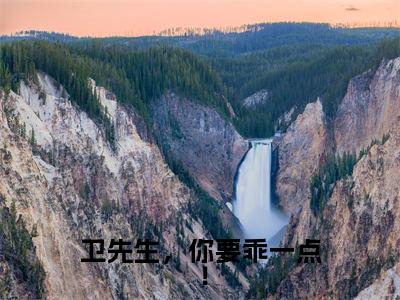 司妤柠卫闻璟小说在线阅读全文无弹窗大结局_卫先生，你要乖一点！小说免费最新章节列表