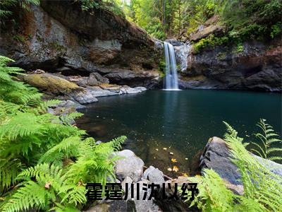 沈以纾霍霆川全文免费阅读大结局-霍霆川沈以纾最新章节列表笔趣阁