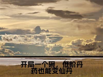 （全文）+（后续）（沈思）开局一个碗，低阶丹药也能变仙丹老书虫推荐小说热文-开局一个碗，低阶丹药也能变仙丹最新更新免费阅读