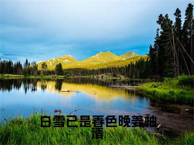 傅宴安姜柚清精彩小说（白雪已是春色晚姜柚清）阅读大结局白雪已是春色晚姜柚清免费版小说更新阅读_笔趣阁