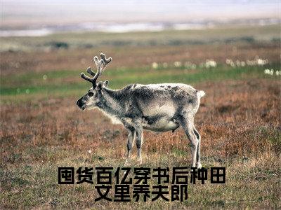 陆鸢萧戾小说全文-囤货百亿穿书后种田文里养夫郎小说免费阅读大结局