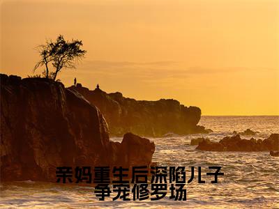 亲妈重生后深陷儿子争宠修罗场（林絮）全文免费阅读无弹窗_林絮小说_笔趣阁