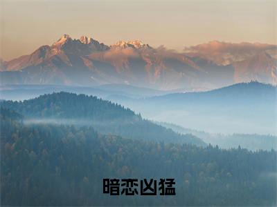 暗恋凶猛小说全文免费阅读无弹窗，（陆延费林林）小说全文免费阅读