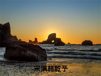 宋满林乾予（宋满林乾予）完整版小说阅读-宋满林乾予小说（宋满林乾予）精彩免费试读