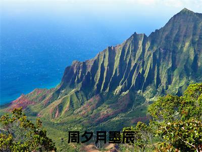 (热推新书)周夕月墨辰完整版免费小说无弹窗阅读_周夕月墨辰最新章节列表_笔趣阁(墨辰周夕月)