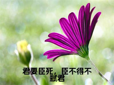 顾昔小说君要臣死,臣不得不弑君全章节阅读-主角为顾昔的小说叫什么君要臣死,臣不得不弑君