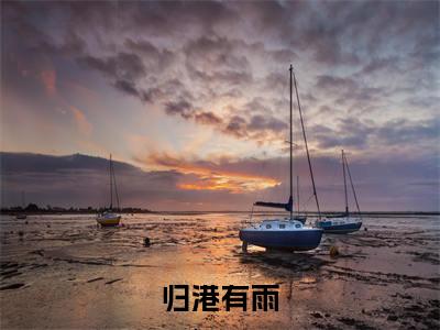 沈津辞边月(归港有雨)全文阅读-最火热点小说沈津辞边月最新更新