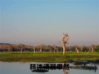 林沐清裴聿然(林沐清裴聿然)全文免费阅读无弹窗大结局_林沐清裴聿然最新章节列表_笔趣阁(免费+番外)