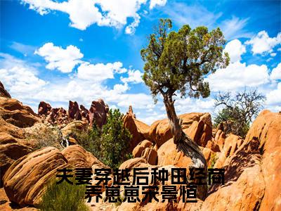 小说夫妻穿越后种田经商养崽崽宋景恒（夏知秋宋景恒小说免费阅读）完结阅读_夫妻穿越后种田经商养崽崽宋景恒全文免费阅读最新章节大结局