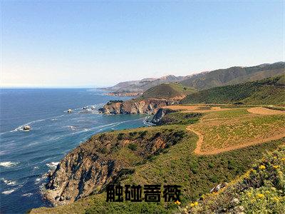 触碰蔷薇小说全文（浦应辛林筱帆）免费阅读全文无弹窗大结局_浦应辛林筱帆免费阅读无弹窗小说_笔趣阁