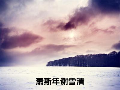 谢雪清萧斯年免费阅读无弹窗大结局,萧斯年谢雪清最新章节