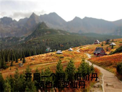 开局一个碗,低阶丹药也能变仙丹沈思正版小说全文阅读沈思全文免费完整版