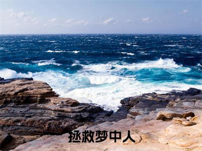拯救梦中人全文免费在线阅读_庞小雨鲍雨峰全文免费阅读无弹窗大结局