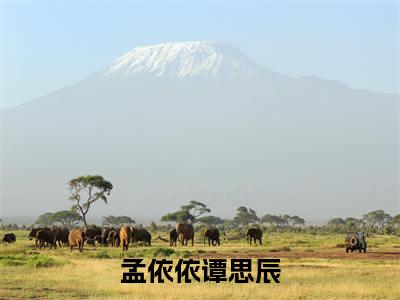孟依依谭思辰全文(谭思辰孟依依小说)全文免费阅读无弹窗大结局_孟依依谭思辰免费最新章节列表_笔趣阁(谭思辰孟依依小说)