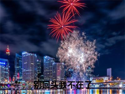 乔希希(别回头我不在了小说)全文免费阅读无弹窗大结局_(乔希希)别回头我不在了小说最新章节列表