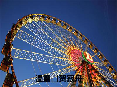 温童婳贺寂舟（温童婳贺寂舟）全文免费阅读无弹窗大结局_温童婳贺寂舟最新章节列表（温童婳贺寂舟）