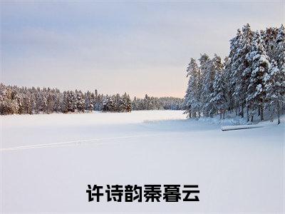 许诗韵秦暮云满分热推小说-许诗韵秦暮云许诗韵秦暮云小说全本已完结