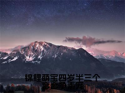 锦鲤萌宝四岁半三个爹爹争着宠（姜晚晚）小说全文免费阅读无弹窗大结局_锦鲤萌宝四岁半三个爹爹争着宠最新章节列表