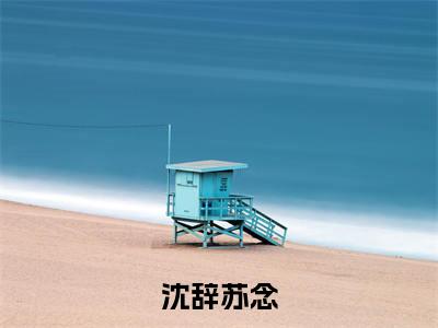 沈辞苏念(沈辞苏念)小说全文免费阅读_沈辞苏念最新章节小说免费阅读_笔趣阁沈辞苏念