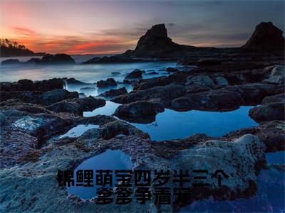 锦鲤萌宝四岁半三个爹爹争着宠（姜晚晚小说）全文免费阅读无弹窗大结局_锦鲤萌宝四岁半三个爹爹争着宠全文免费阅读_笔趣阁