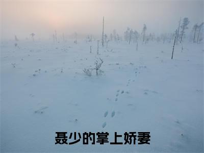 季白榆聂清规（聂少的掌上娇妻）独家首发免费小说-（季白榆聂清规）聂少的掌上娇妻小说全文在线阅读笔趣阁