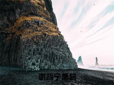 谢疏宁萧越（谢疏宁萧越）小说多人阅读-小说谢疏宁萧越在哪里看免费