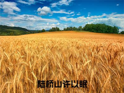 陆桥山许以眠（许以眠陆桥山）全文免费阅读无弹窗大结局_（许以眠陆桥山免费阅读）陆桥山许以眠无弹窗最新章节列表