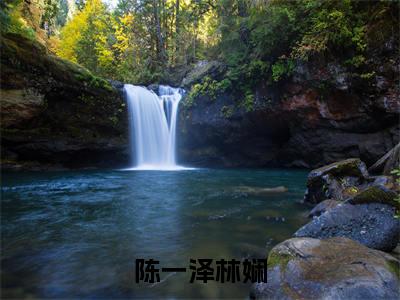 陈一泽林娴(林娴陈一泽)热门小说最新章节阅读-(陈一泽林娴)林娴陈一泽全文免费阅读
