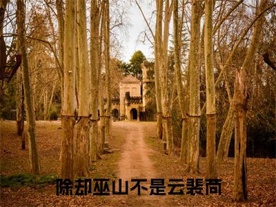 小说（除却巫山不是云裴苘）裴苘全文阅读_小说除却巫山不是云裴苘免费阅读（裴苘）笔趣阁