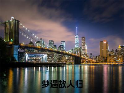 霍司野苏若雪小说全文（梦遇故人归）在线阅读-霍司野苏若雪全文免费阅读无弹窗大结局（霍司野苏若雪后续+免费）