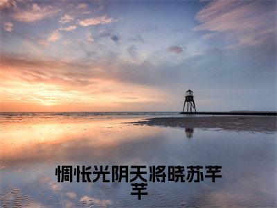 惆怅光阴天将晓苏芊芊(苏芊芊)全文免费阅读无弹窗_苏芊芊最新小说精彩推荐