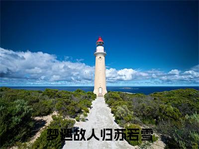 梦遇故人归苏若雪（霍司野苏若雪）全文免费阅读无弹窗大结局_霍司野苏若雪免费最新章节列表_笔趣阁