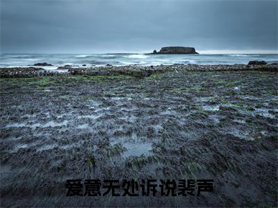 爱意无处诉说裴声（秦知棠裴声）免费最新小说_秦知棠裴声（爱意无处诉说裴声）免费版今日已更新