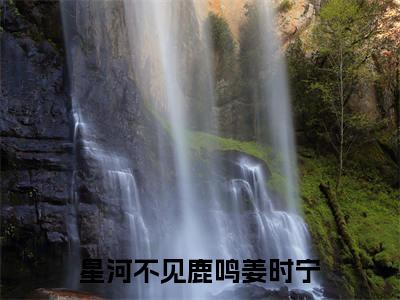 星河不见鹿鸣姜时宁（陆洺姜时宁）全文小说在线阅读-星河不见鹿鸣姜时宁全章节最新阅读