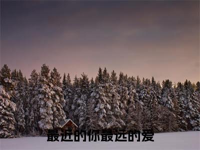 最近的你最远的爱(林星澜闻聿风)全文免费阅读无弹窗大结局_(林星澜闻聿风)全文最新章节列表