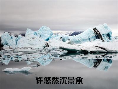 许悠然沈景承(沈景承许悠然)全文免费阅读无弹窗大结局_许悠然沈景承最新章节列表