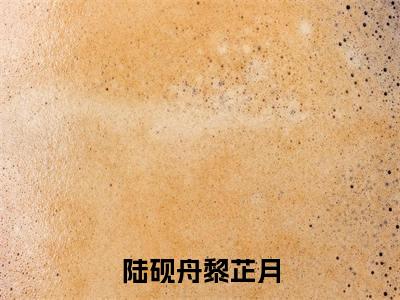 陆砚舟黎芷月全文免费阅读无弹窗大结局_(陆砚舟黎芷月小说)陆砚舟黎芷月最新章节列表笔趣阁(陆砚舟黎芷月)