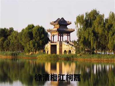 徐清橙江柯嘉（徐清橙江柯嘉）全文免费完结版阅读_（徐清橙江柯嘉）徐清橙江柯嘉最新章节列表笔趣阁