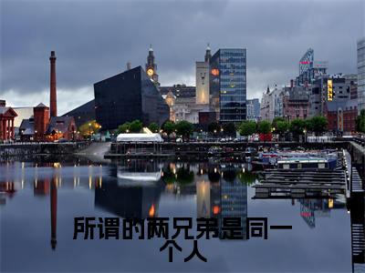 温辞烟顾宣珩（所谓的两兄弟是同一个人）全文免费阅读无弹窗大结局_所谓的两兄弟是同一个人完整版小说阅读（温辞烟顾宣珩）