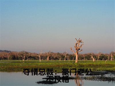 顾瑾妍慕北宸小说免费下载阅读_（夺情总裁：豪门老公不及格）顾瑾妍慕北宸最新章节列表_笔趣阁（夺情总裁：豪门老公不及格）
