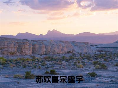 【热门】《苏欢喜宋霆宇》书名是苏欢喜宋霆宇全文免费阅读已完结