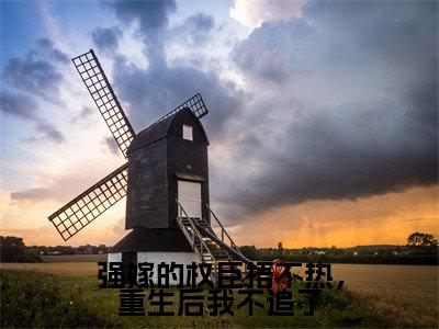 强嫁的权臣捂不热，重生后我不追了（温念兮）全文免费阅读无弹窗大结局_（温念兮）小说免费阅读最新章节列表