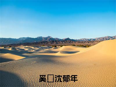 奚婂沈郁年(奚婂沈郁年)的小说完整版免费阅读主角是(奚婂沈郁年)奚婂沈郁年无弹窗免费阅读