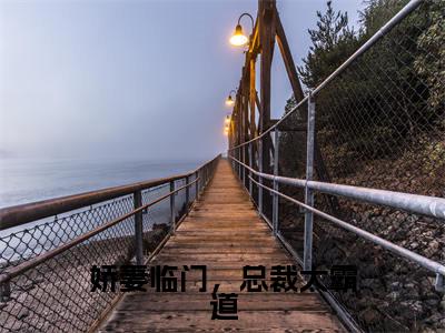 娇妻临门,总裁太霸道全文免费阅读无弹窗大结局-肖杰安若雨全文在线阅读最新章节列表_笔趣阁