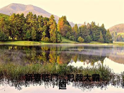 （热推新书）《娇妻临门，总裁太霸道》全文免费阅读最新章节大结局-肖杰安若雨无弹窗阅读