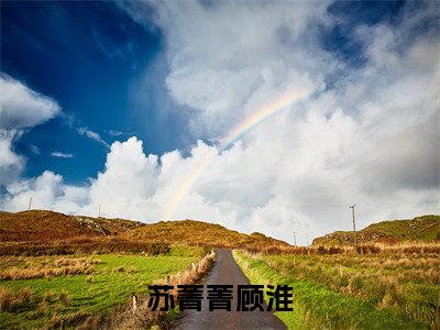 苏菁菁顾淮(顾淮苏菁菁)全文免费阅读无弹窗大结局_(顾淮苏菁菁)苏菁菁顾淮最新章节列表