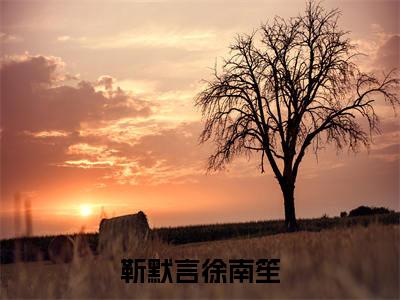 主角为徐南笙靳默言的小说精彩阅读-靳默言徐南笙最新章节阅读